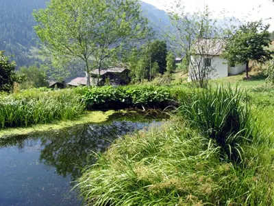 Naturlandschaft in der Nähe der Ferienwohnung