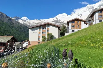 Naturlandschaft in der Nähe der Ferienwohnung