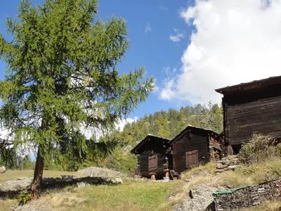 Naturlandschaft in der Nähe der Ferienwohnung