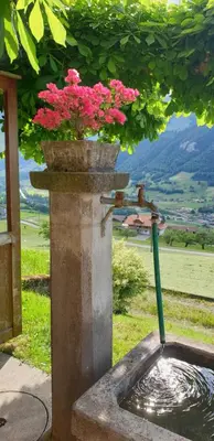 Naturlandschaft in der Nähe des Gasthauses
