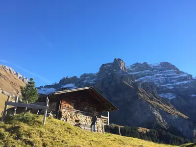 Naturlandschaft in der Nähe der Ferienwohnung