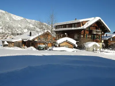 Bergdohle im Winter