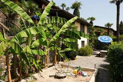 Ein Garten an der Unterkunft Reka-Ferienanlage Brissago