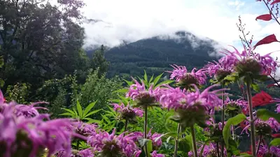 Naturlandschaft in der Nähe der Lodge