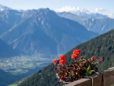 Naturlandschaft in der Nähe der Ferienwohnung