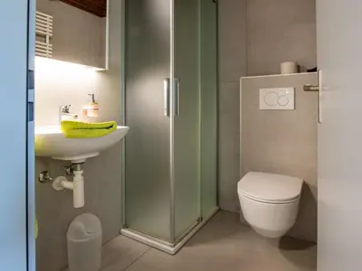 Ein Badezimmer in der Unterkunft Apartment Zurschmitten 8 2- UG Süd by Interhome