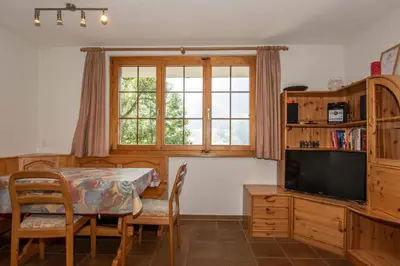 TV/Unterhaltungsangebot in der Unterkunft Ferienwohnung Senggi