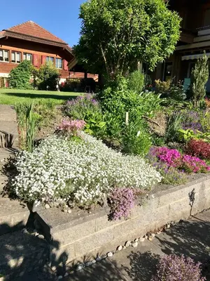 Ein Garten an der Unterkunft Apartment Beck