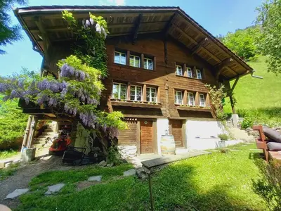 Ein Garten an der Unterkunft Chalet Elza