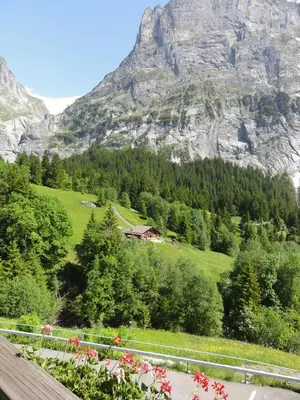 Naturlandschaft in der Nähe des Hotels