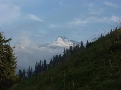 Naturlandschaft in der Nähe der Pension