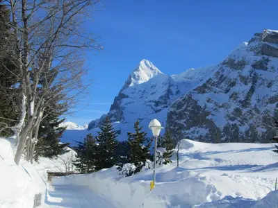 Hotel-Restaurant Stechelberg Bed & Breakfast im Winter