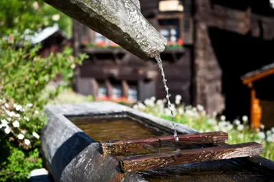 Ein Garten an der Unterkunft Arica