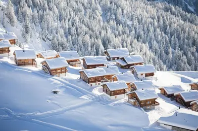 Mischi im Winter