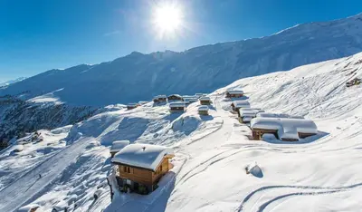 Mischi im Winter