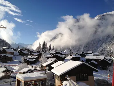 Rehli im Winter