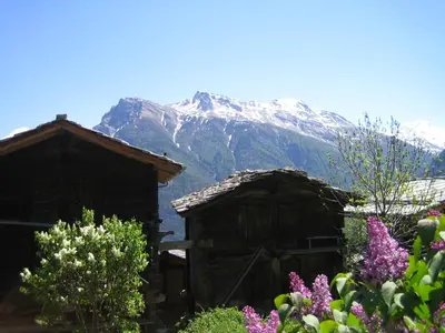 Naturlandschaft in der Nähe des Ferienhauses
