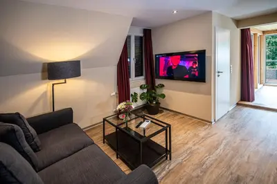 TV/Unterhaltungsangebot in der Unterkunft Swiss Inn & Apartments