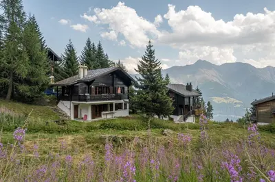 Naturlandschaft in der Nähe der Ferienwohnung
