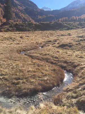 Naturlandschaft in der Nähe des Chalets