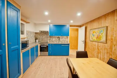 Küche/Küchenzeile in der Unterkunft 2BR apartment close to ski area and Jungfrau train
