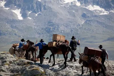 Gäste, die in der Unterkunft Hotel Grimsel übernachten