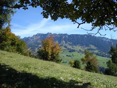 Naturlandschaft in der Nähe der Ferienwohnung