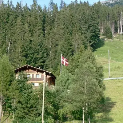 Chalet Weidli
