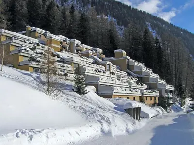 Lärchenwald 1905 im Winter