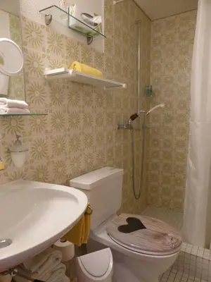Ein Badezimmer in der Unterkunft Pension Alpina