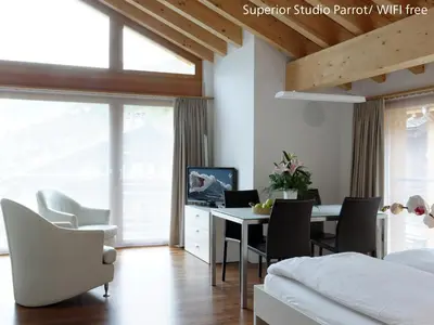 TV/Unterhaltungsangebot in der Unterkunft Zermatt Appartements