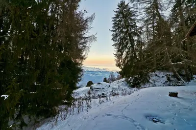 Naturlandschaft in der Nähe der Ferienwohnung