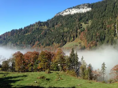 Naturlandschaft in der Nähe der Ferienwohnung