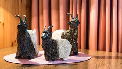 Tiere in der Ferienwohnung oder in der Nähe
