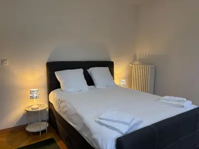 Ein Bett oder Betten in einem Zimmer der Unterkunft Charmant appartement au cœur de Sion