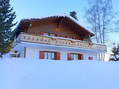 Chalet Le Hibou by Interhome im Winter