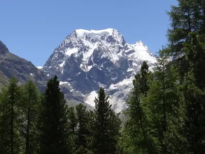 Naturlandschaft in der Nähe der Ferienwohnung