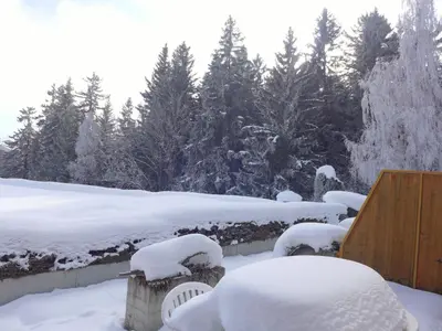 Studio Terrasse Des Alpes 615 by Interhome im Winter