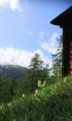 Naturlandschaft in der Nähe des Hotels