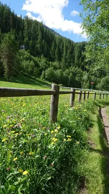 Naturlandschaft in der Nähe des Hotels
