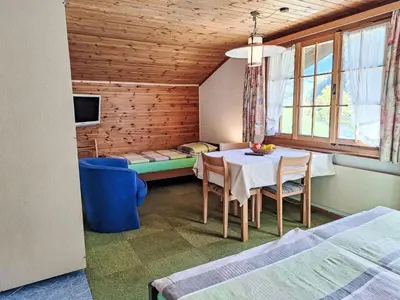 TV/Unterhaltungsangebot in der Unterkunft Apartment Chalet Marie Rosa-3 by Interhome