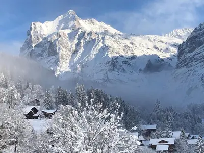 Ein allgemeiner Bergblick oder ein Berglick von der Ferienwohnung aus