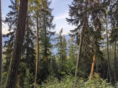 Naturlandschaft in der Nähe des Chalets