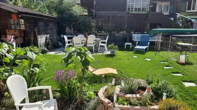 Ein Garten an der Unterkunft Berner Oberland