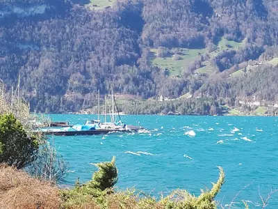 Naturlandschaft in der Nähe der Ferienwohnung