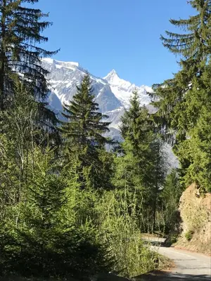 Naturlandschaft in der Nähe der Ferienwohnung