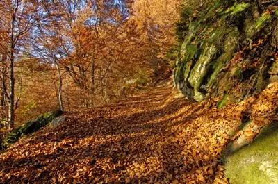 Naturlandschaft in der Nähe der Pension