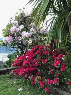 Ein Garten an der Unterkunft Casa Concerto B&B