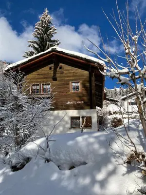 Alter Lärch im Winter