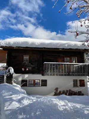 Alter Lärch im Winter